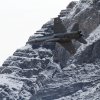 Aviation